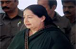 Jaya has fully recovered: Apollo chief
